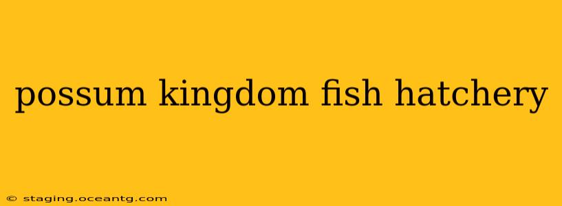 possum kingdom fish hatchery