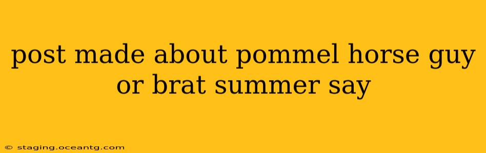 post made about pommel horse guy or brat summer say post made about pommel horse guy or brat summer say