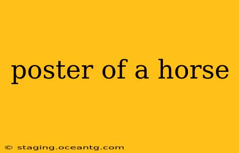 poster of a horse
