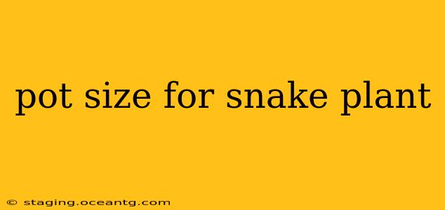 pot size for snake plant