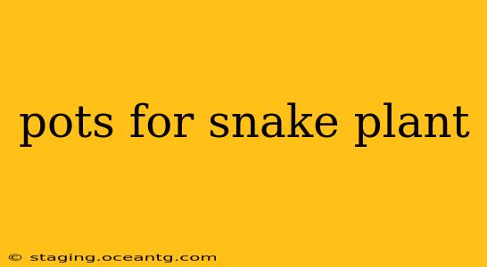 pots for snake plant