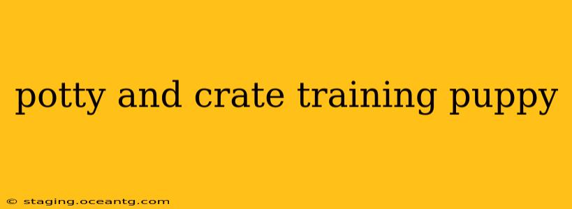 potty and crate training puppy