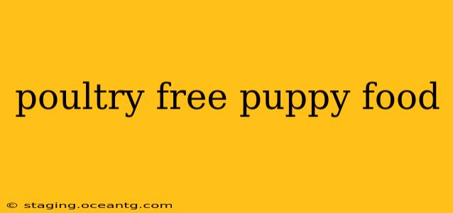 poultry free puppy food