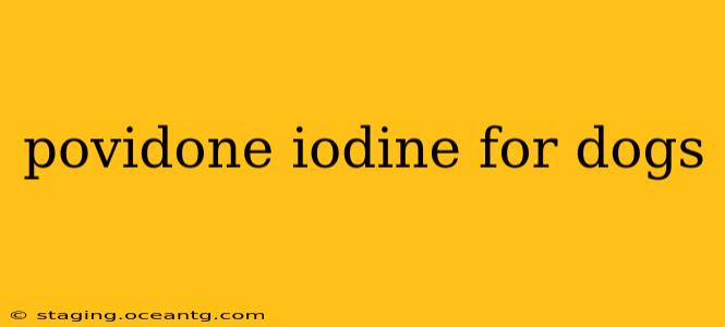 povidone iodine for dogs