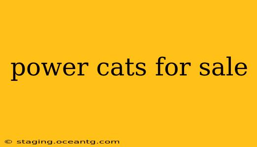 power cats for sale