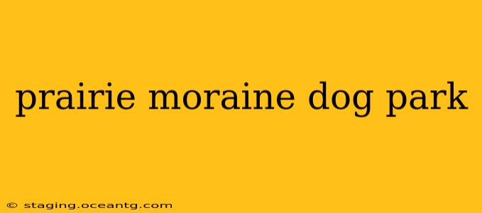 prairie moraine dog park