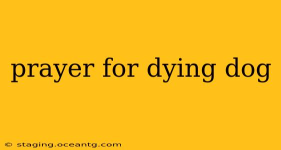 prayer for dying dog