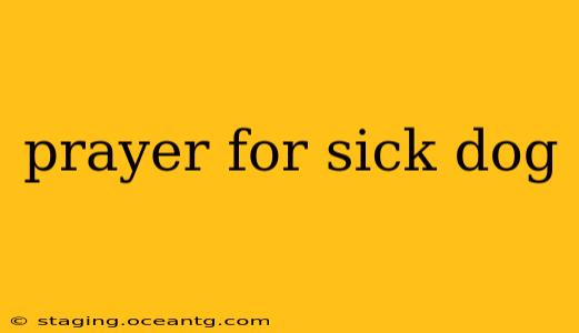 prayer for sick dog