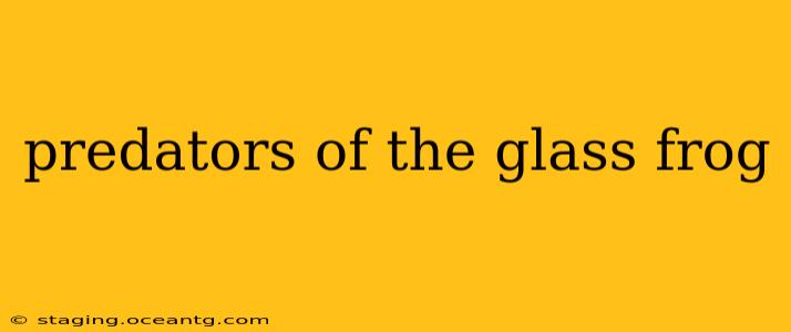 predators of the glass frog