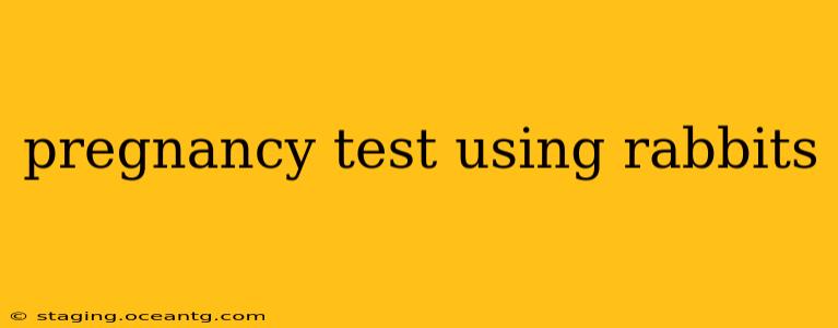 pregnancy test using rabbits