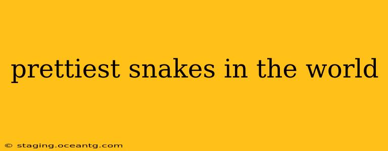 prettiest snakes in the world
