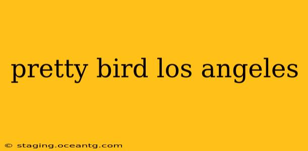 pretty bird los angeles