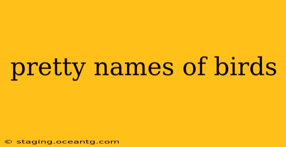 pretty names of birds