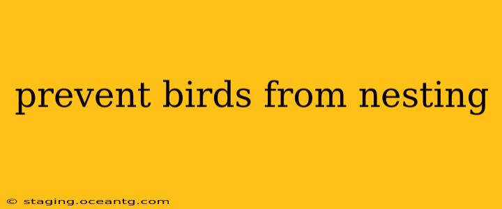 prevent birds from nesting
