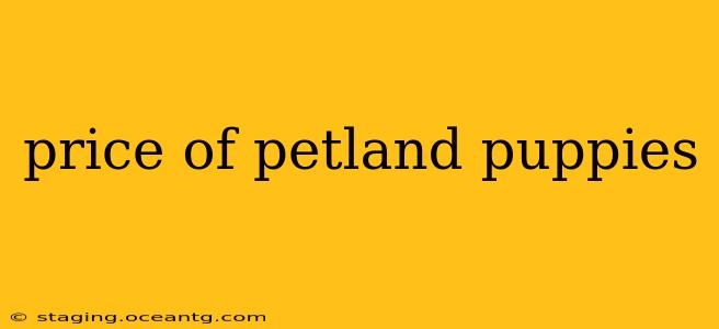 price of petland puppies