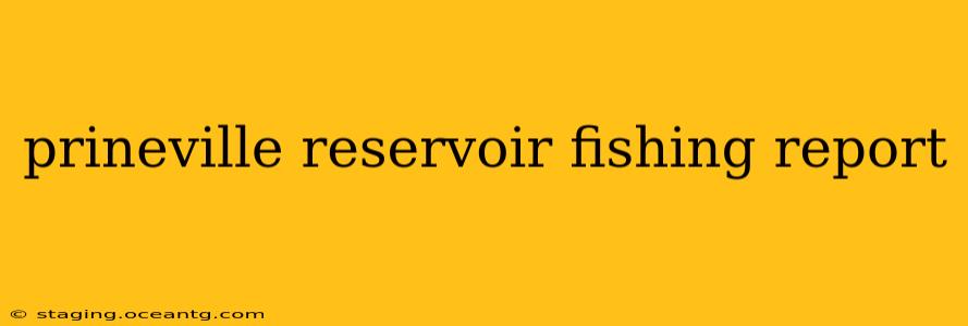 prineville reservoir fishing report