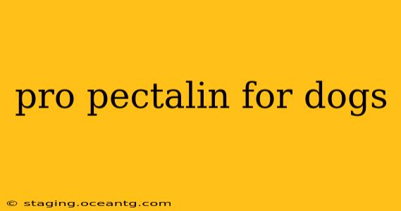 pro pectalin for dogs