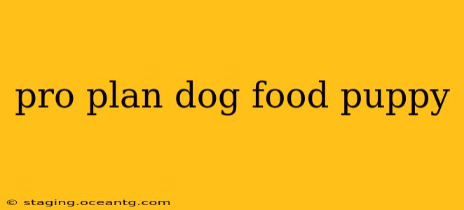 pro plan dog food puppy