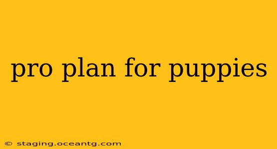 pro plan for puppies