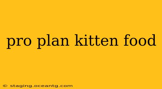 pro plan kitten food