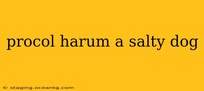 procol harum a salty dog