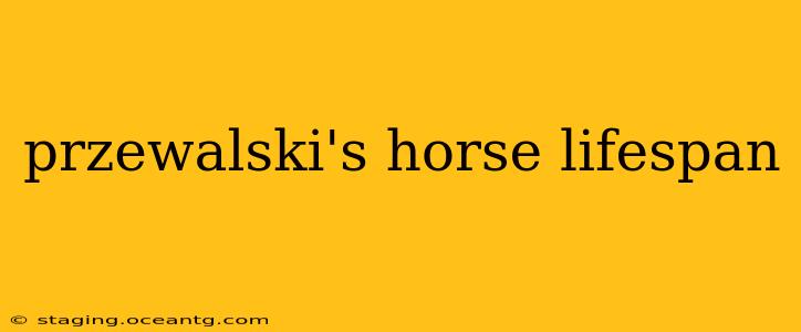 przewalski's horse lifespan