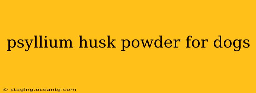 psyllium husk powder for dogs