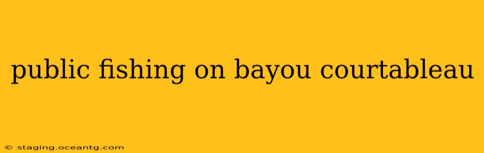 public fishing on bayou courtableau
