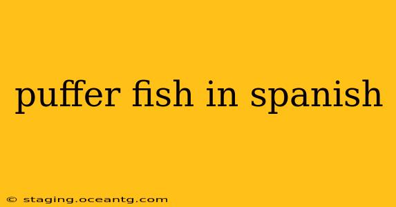 puffer fish in spanish