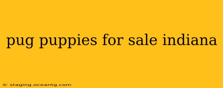 pug puppies for sale indiana