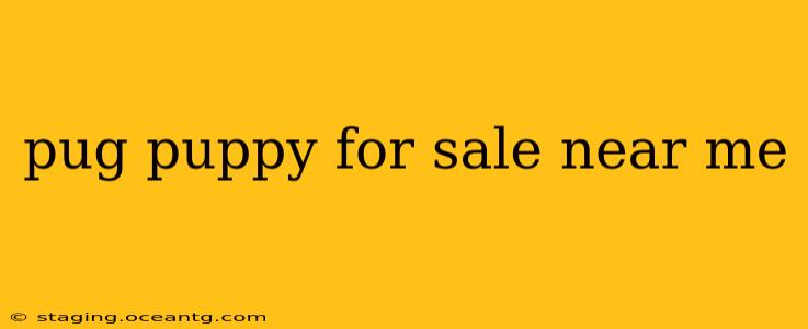 pug puppy for sale near me