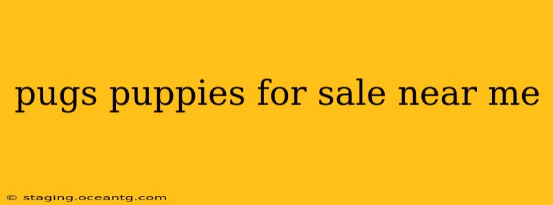 pugs puppies for sale near me