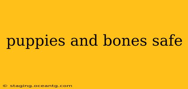 puppies and bones safe
