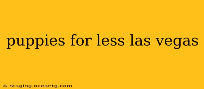 puppies for less las vegas