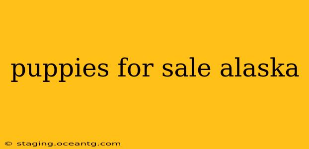 puppies for sale alaska