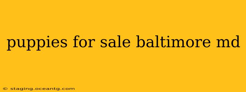 puppies for sale baltimore md