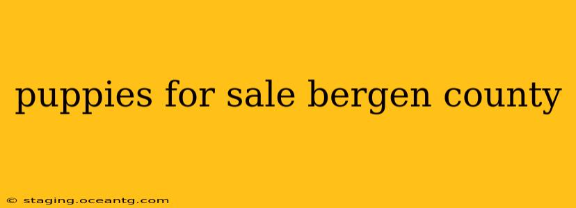 puppies for sale bergen county