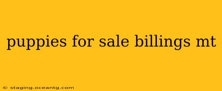 puppies for sale billings mt