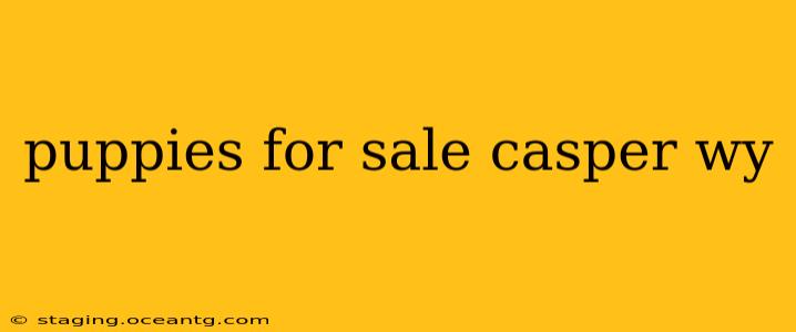 puppies for sale casper wy
