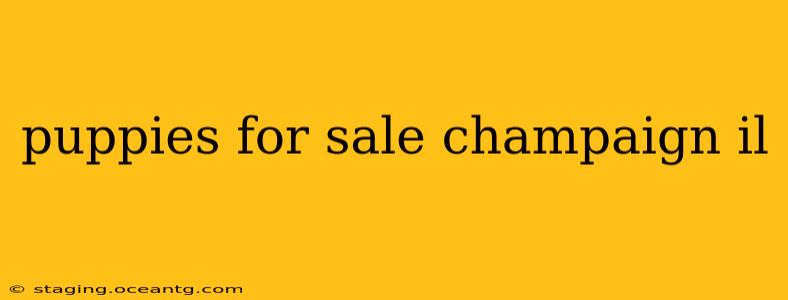 puppies for sale champaign il