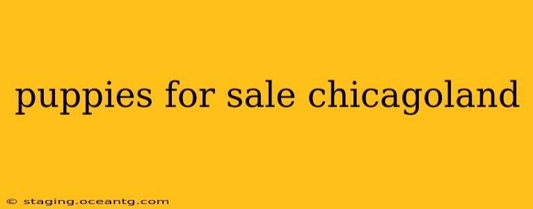 puppies for sale chicagoland