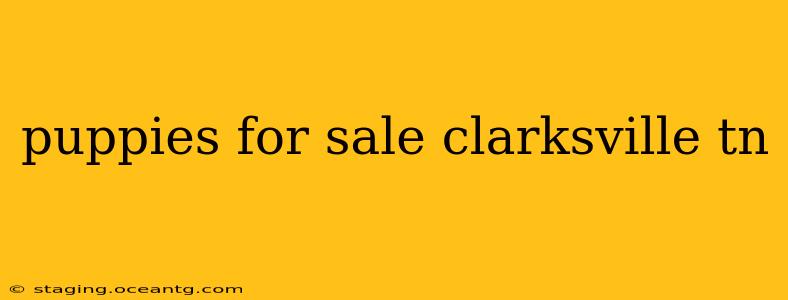 puppies for sale clarksville tn