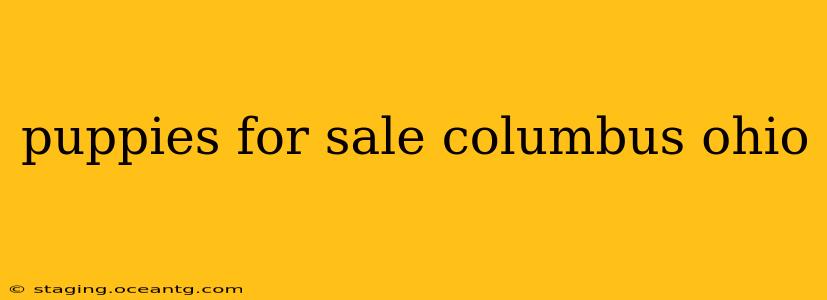 puppies for sale columbus ohio