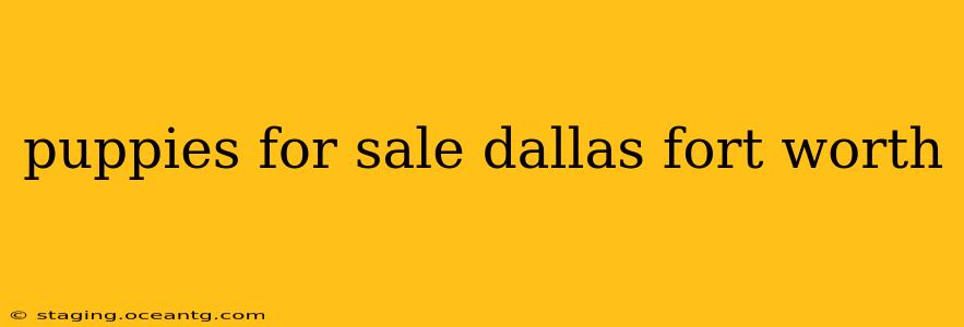 puppies for sale dallas fort worth