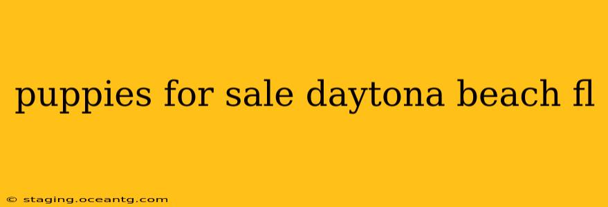puppies for sale daytona beach fl