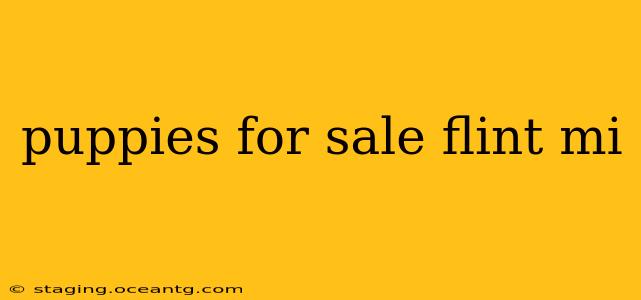 puppies for sale flint mi