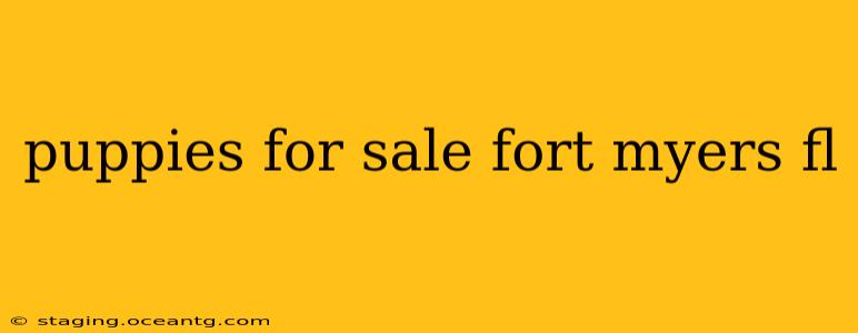 puppies for sale fort myers fl