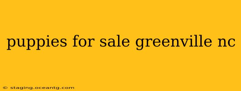 puppies for sale greenville nc