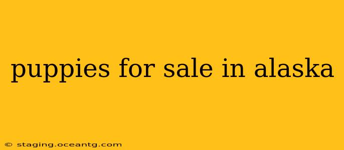 puppies for sale in alaska