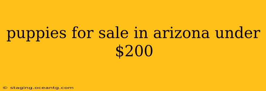 puppies for sale in arizona under $200